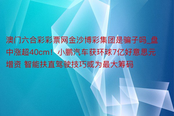 澳门六合彩彩票网金沙博彩集团是骗子吗_盘中涨超40cm！小鹏汽车获环球7亿好意思元增资 智能扶直驾驶技巧或为最大筹码