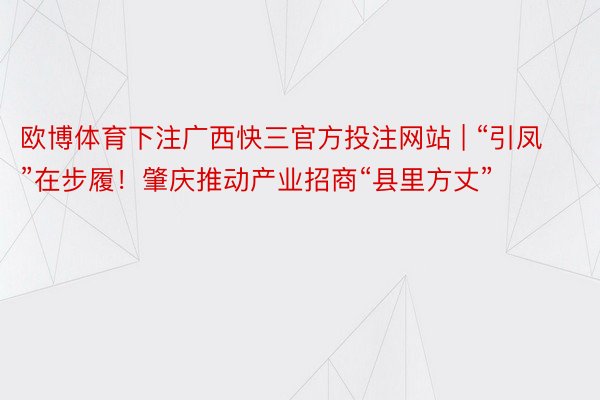 欧博体育下注广西快三官方投注网站 | “引凤”在步履！肇庆推动产业招商“县里方丈”