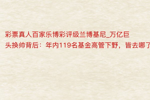 彩票真人百家乐博彩评级兰博基尼_万亿巨头换帅背后：年内119名基金高管下野，皆去哪了？