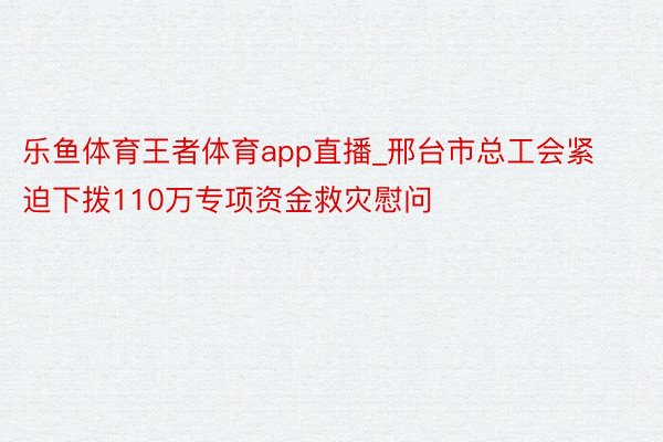 乐鱼体育王者体育app直播_邢台市总工会紧迫下拨110万专项资金救灾慰问