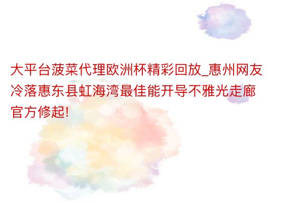 大平台菠菜代理欧洲杯精彩回放_惠州网友冷落惠东县虹海湾最佳能开导不雅光走廊 官方修起!