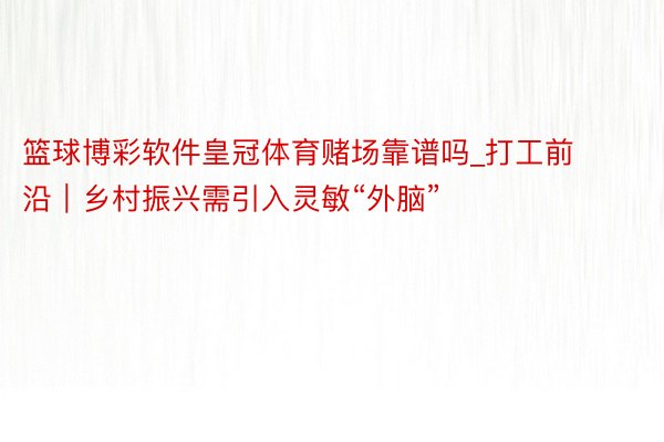 篮球博彩软件皇冠体育赌场靠谱吗_打工前沿｜乡村振兴需引入灵敏“外脑”